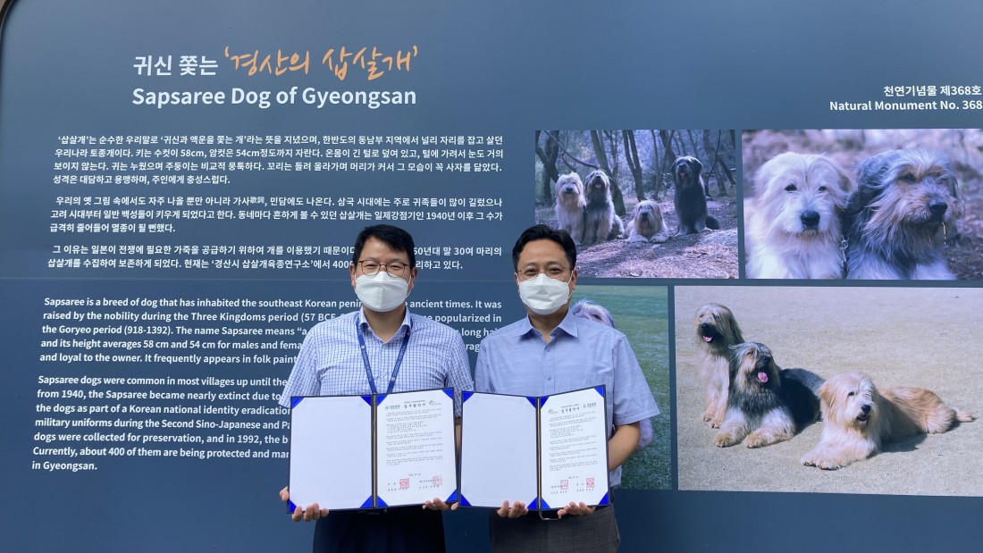 aa314d5056ddf85c1de4d99e16983a1b_1658464