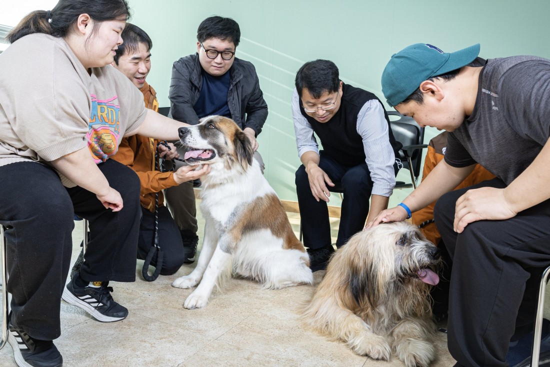 5877b9b09a3c4e205bdbf8301a088732_1699592